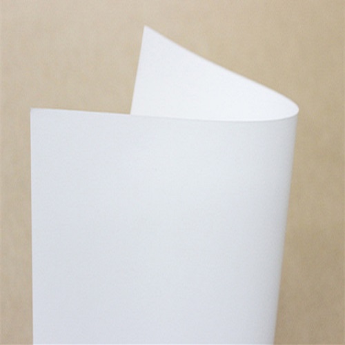 Những loại giấy phổ biến nhất hiện nay trên thị trường